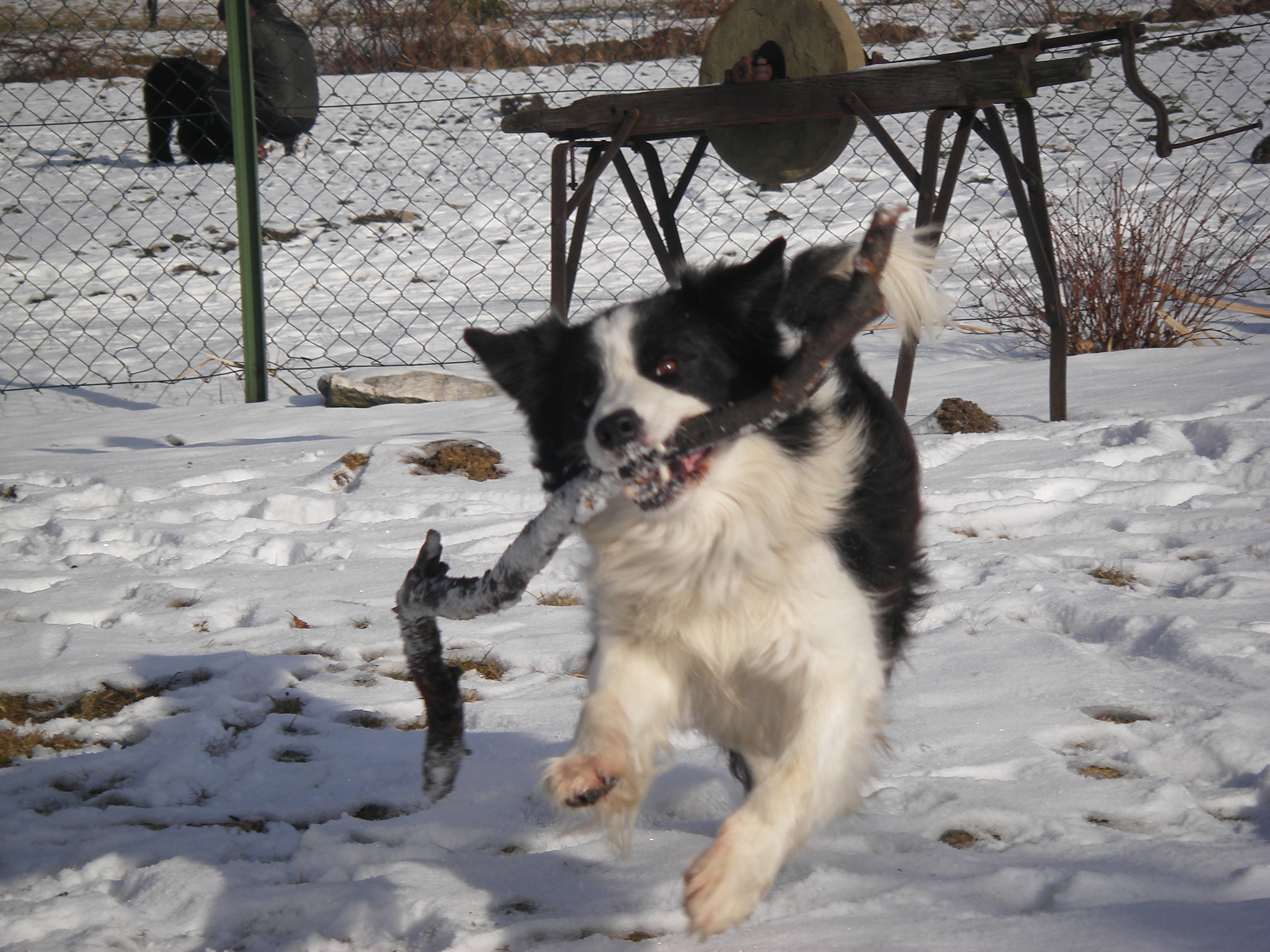 sobota 28.1.2012 27.1.-obrany 195