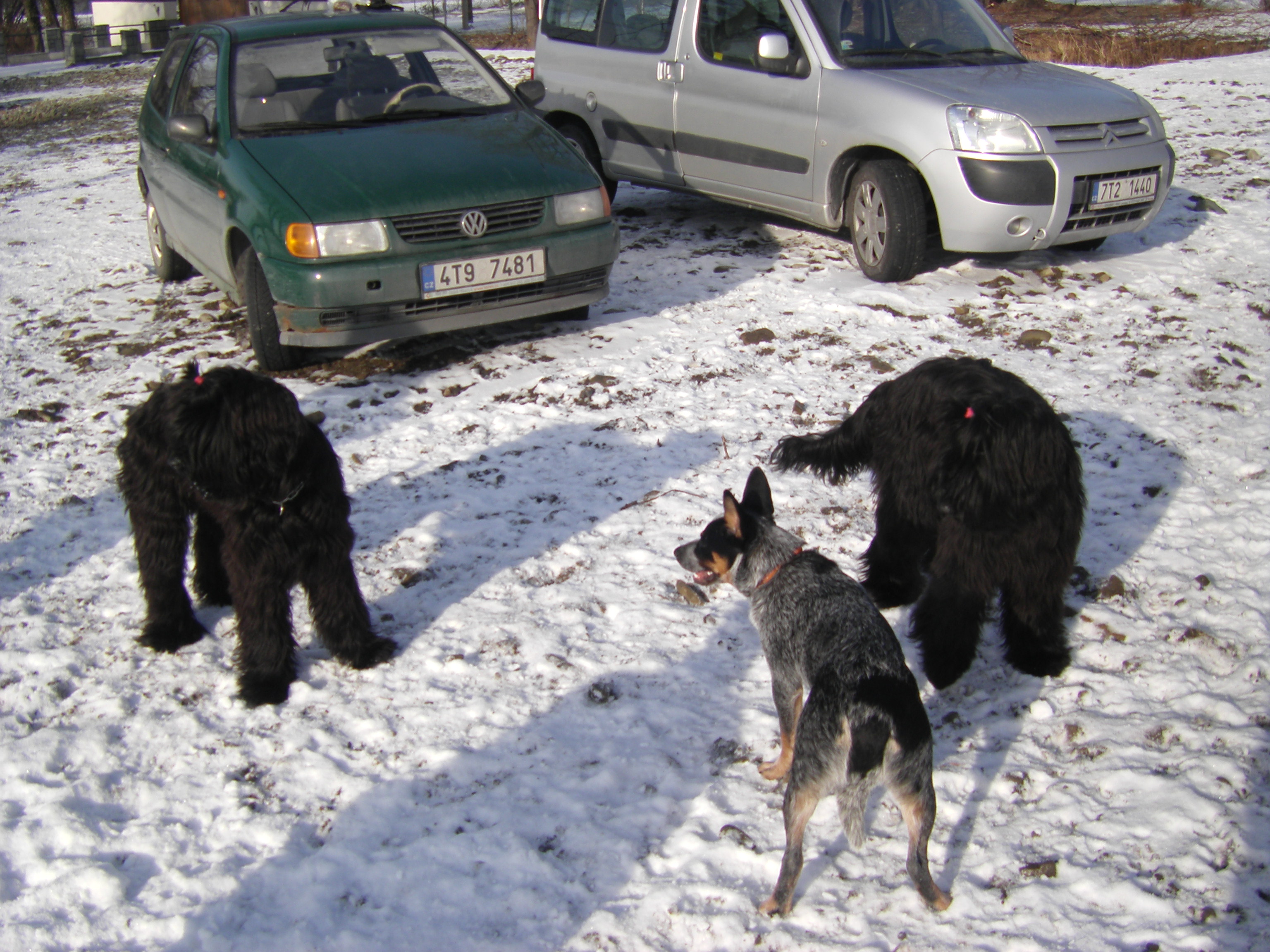 sobota 28.1.2012 27.1.-obrany 202