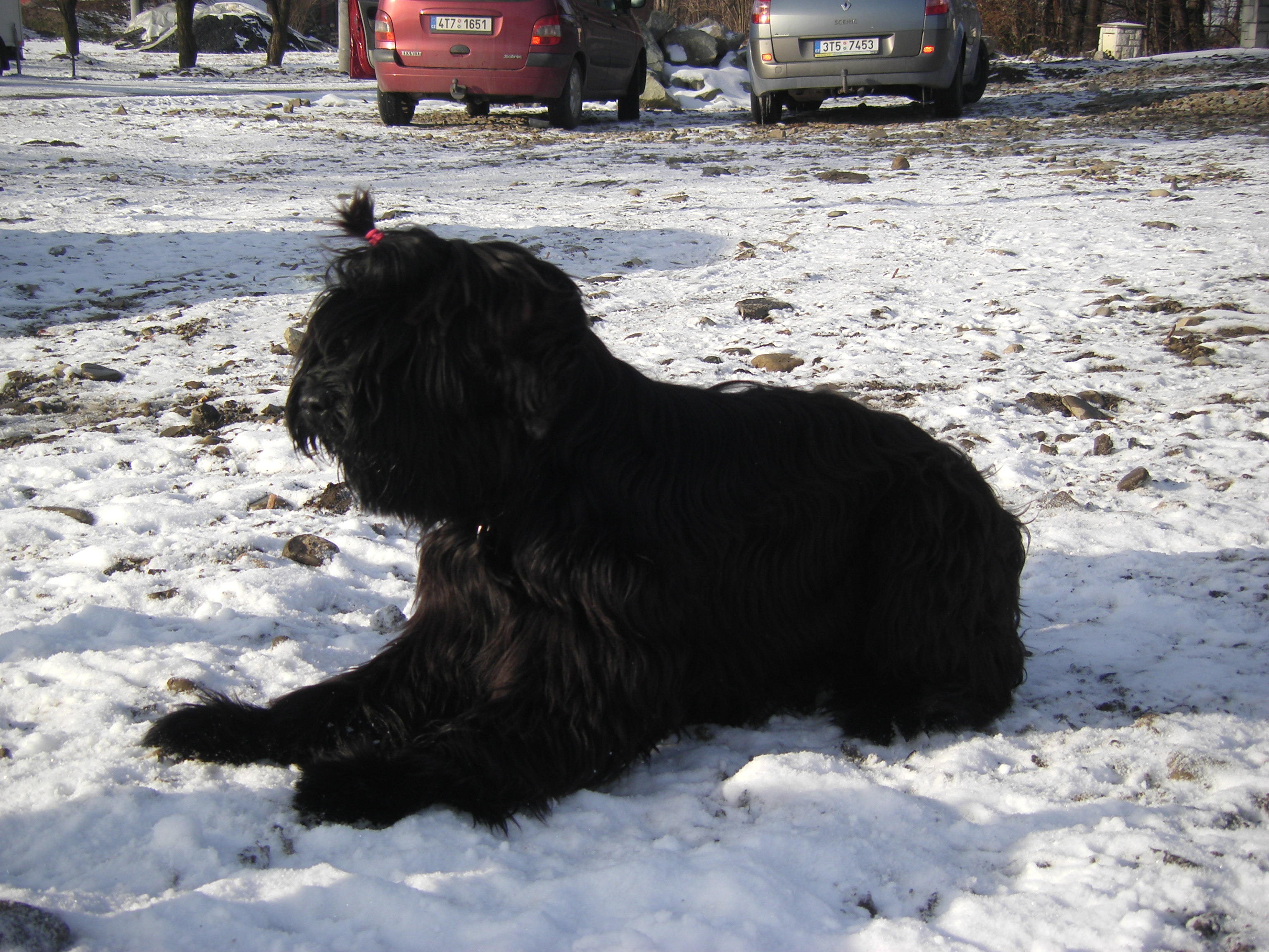 sobota 28.1.2012 27.1.-obrany 204