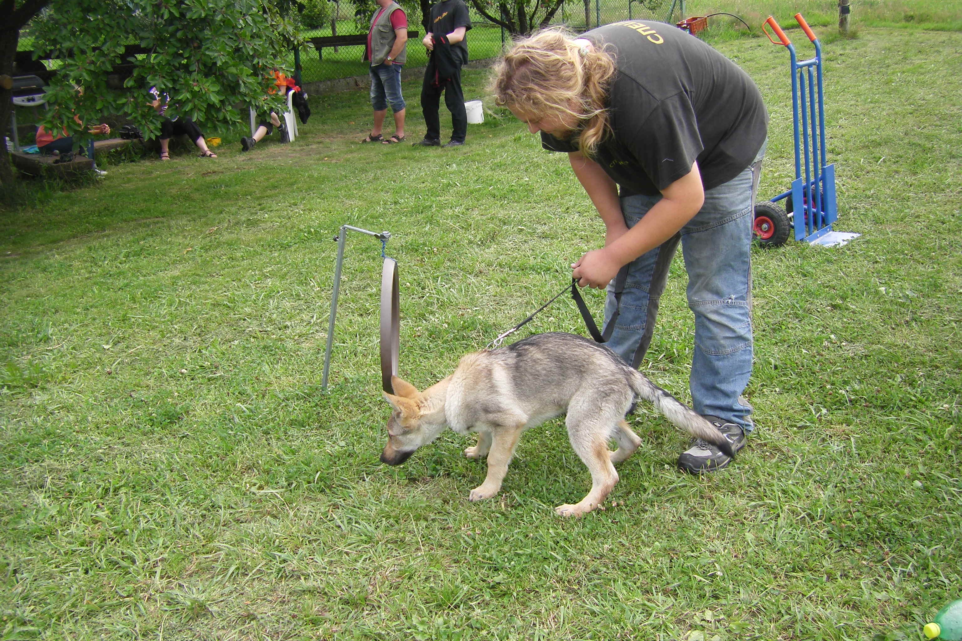 SOBOTA 16.7.2011 ADAPTACE+OBRANA 082