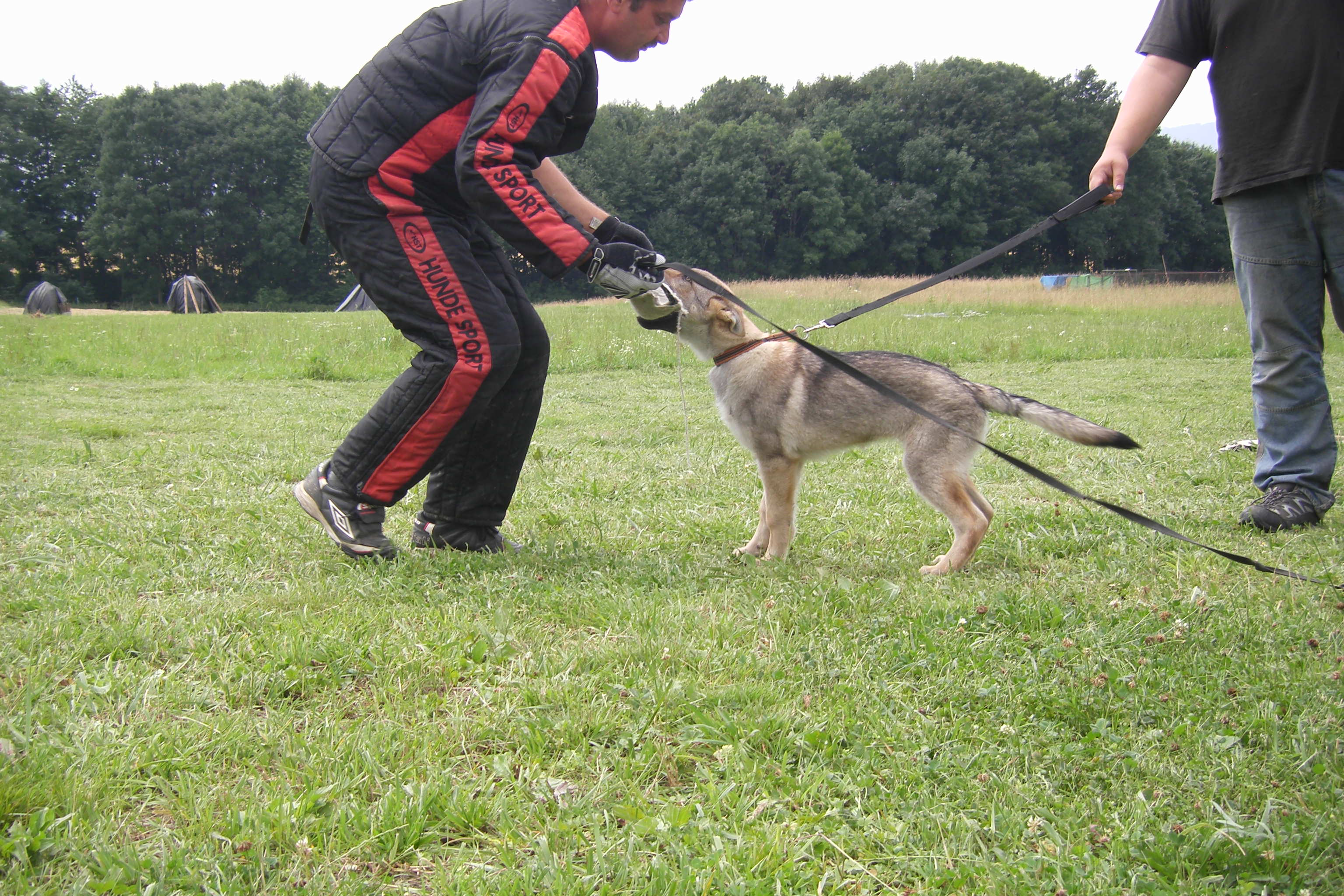 SOBOTA 16.7.2011 ADAPTACE+OBRANA 138