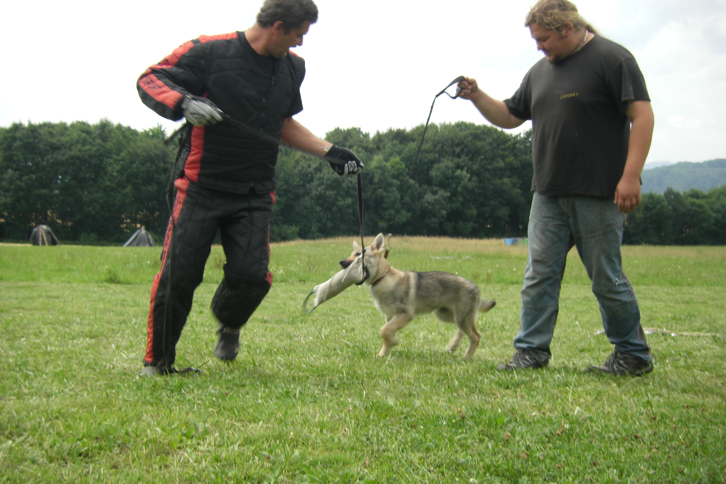 SOBOTA 16.7.2011 ADAPTACE+OBRANA 139