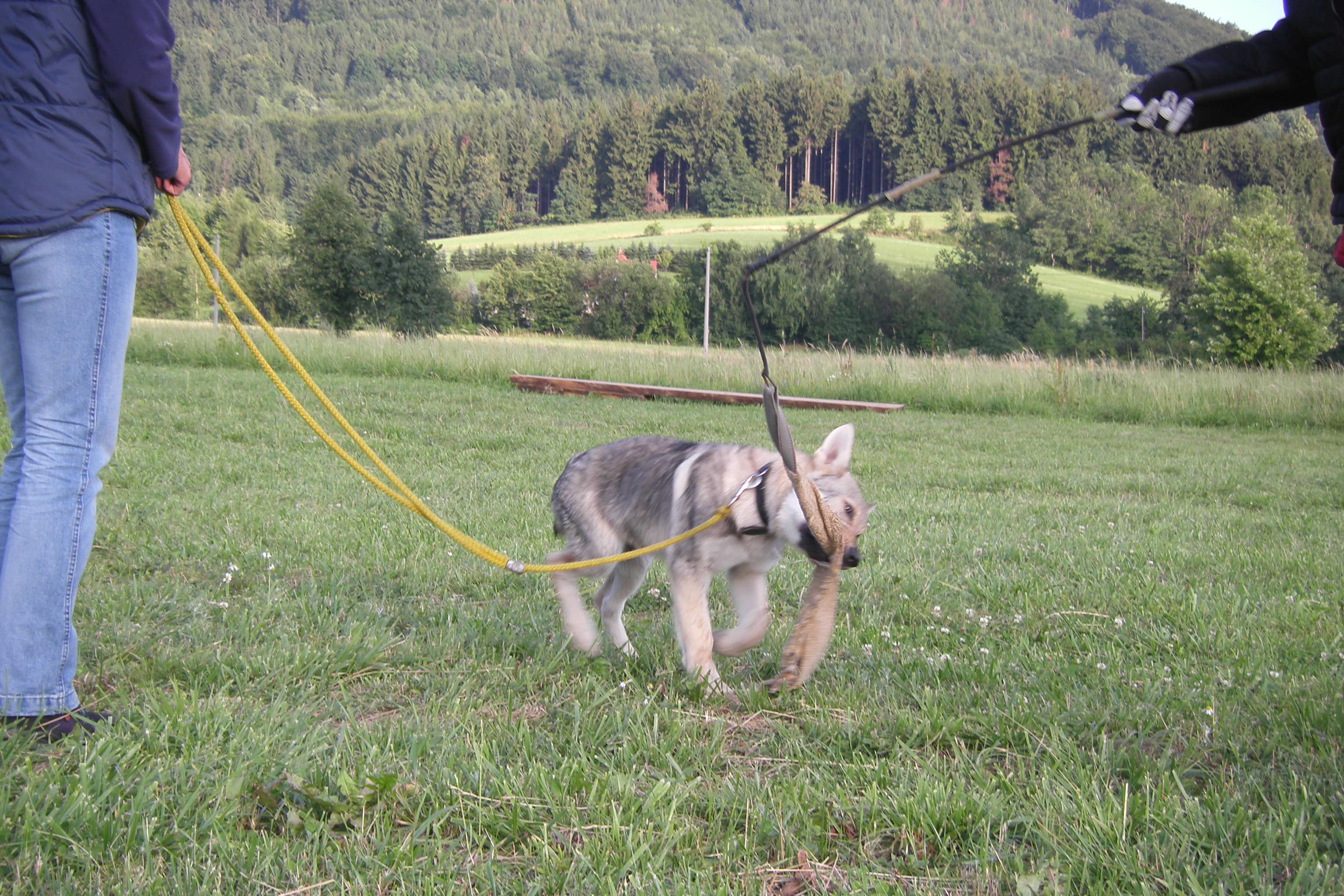 SOBOTA 16.7.2011 ADAPTACE+OBRANA 212