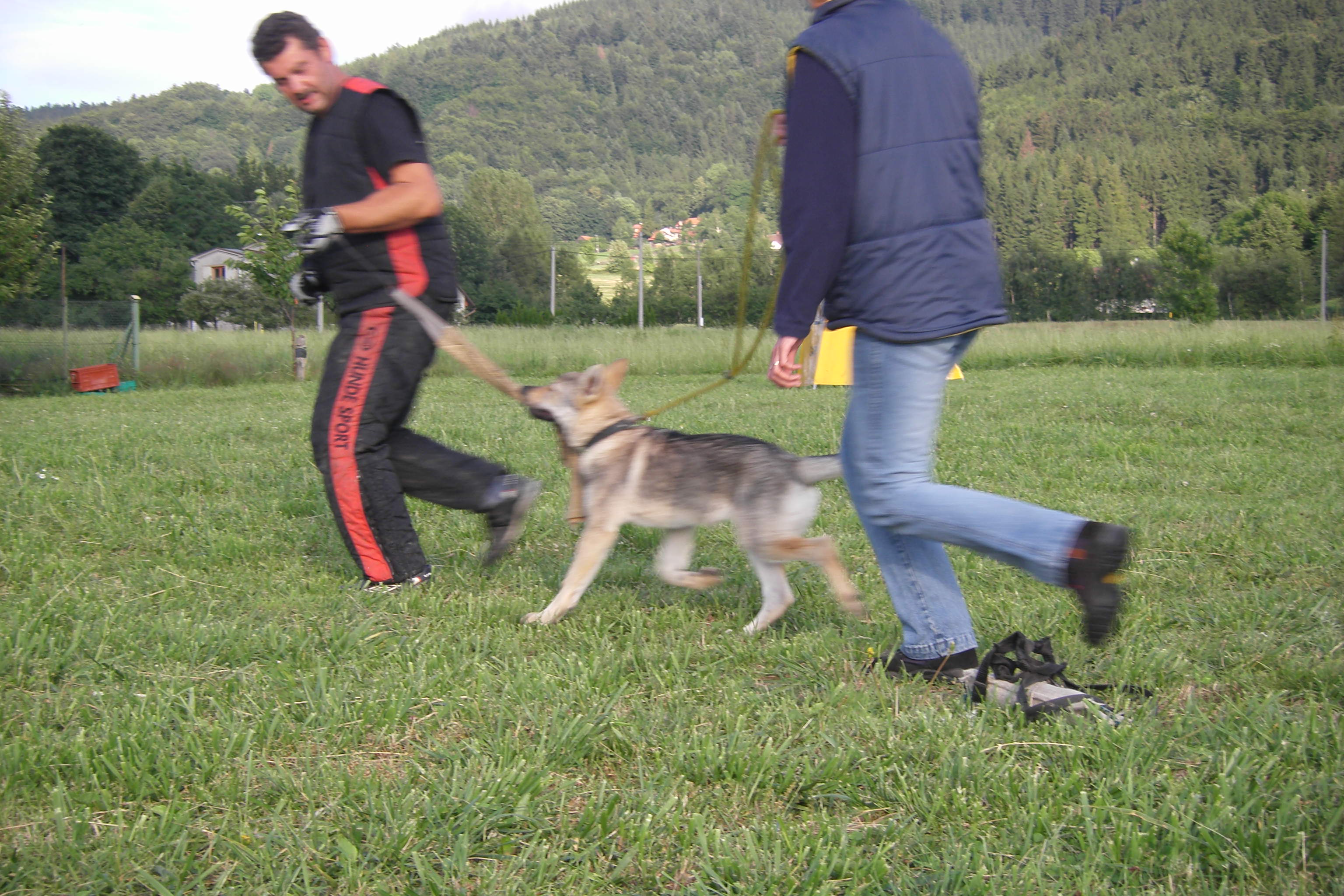 SOBOTA 16.7.2011 ADAPTACE+OBRANA 217