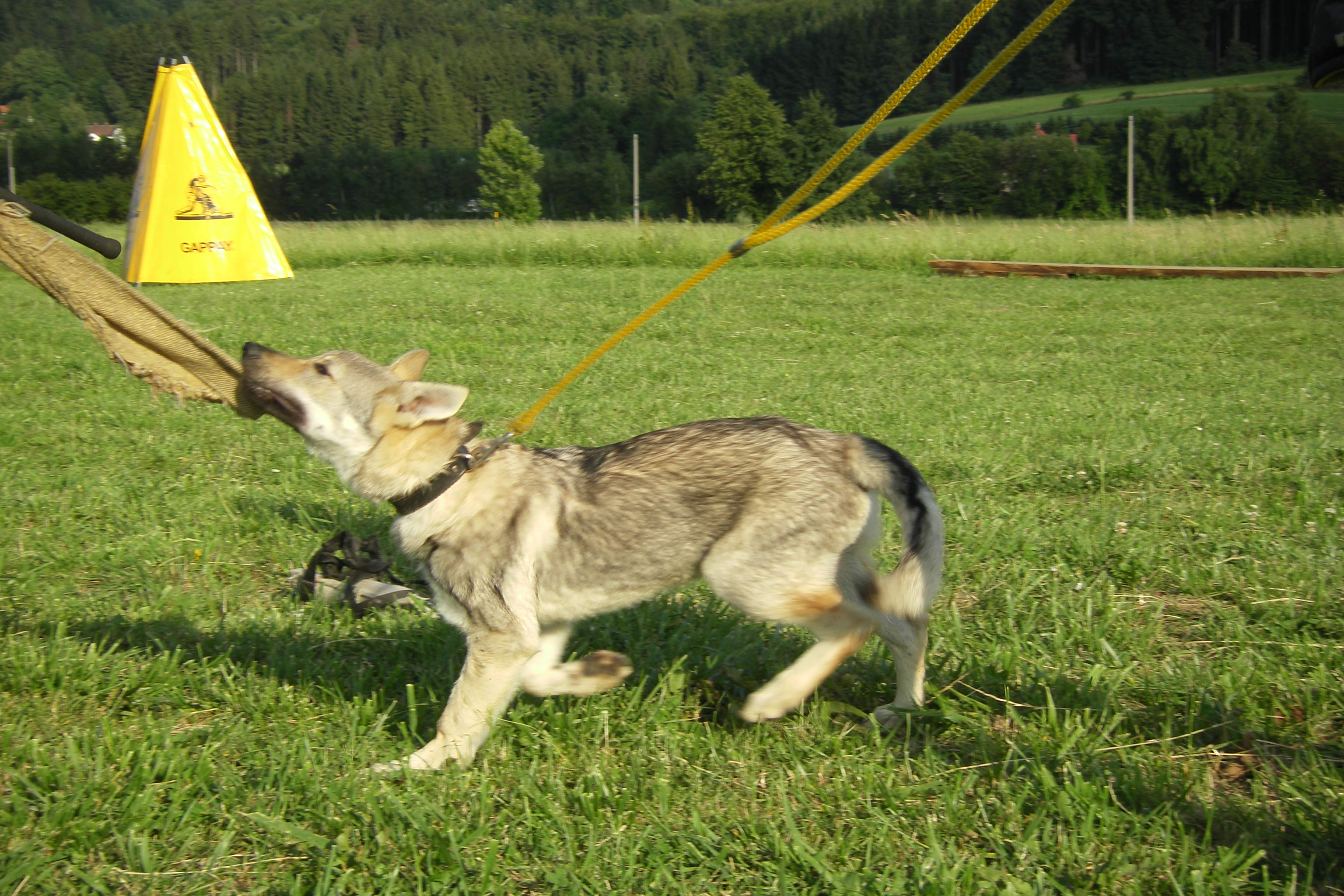 SOBOTA 16.7.2011 ADAPTACE+OBRANA 220