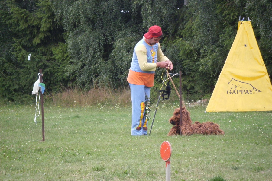 VĚTŘKOVICE 2011 333