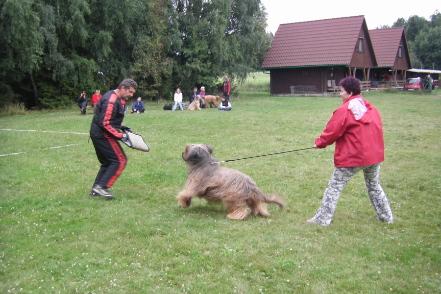 VĚTŘKOVICE 2011 548