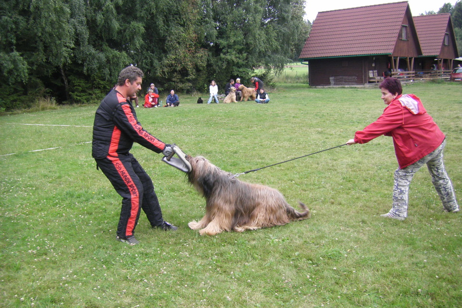 VĚTŘKOVICE 2011 550