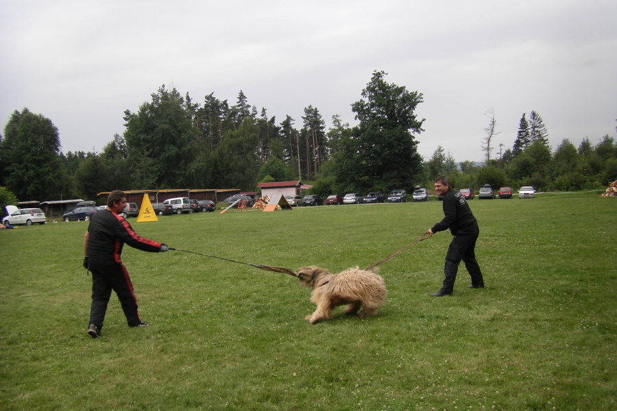 VĚTŘKOVICE 2011 556