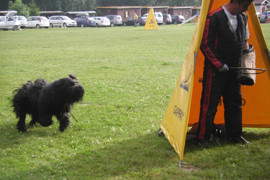 VĚTŘKOVICE 2011 600