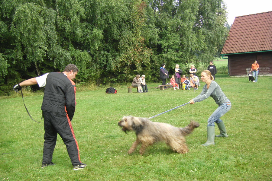 VĚTŘKOVICE 2011 631