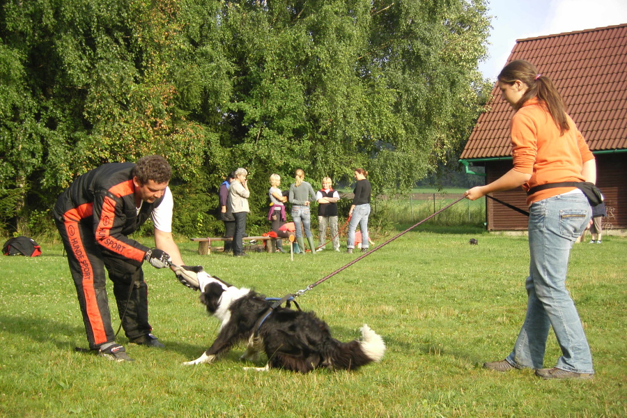 VĚTŘKOVICE 2011 643