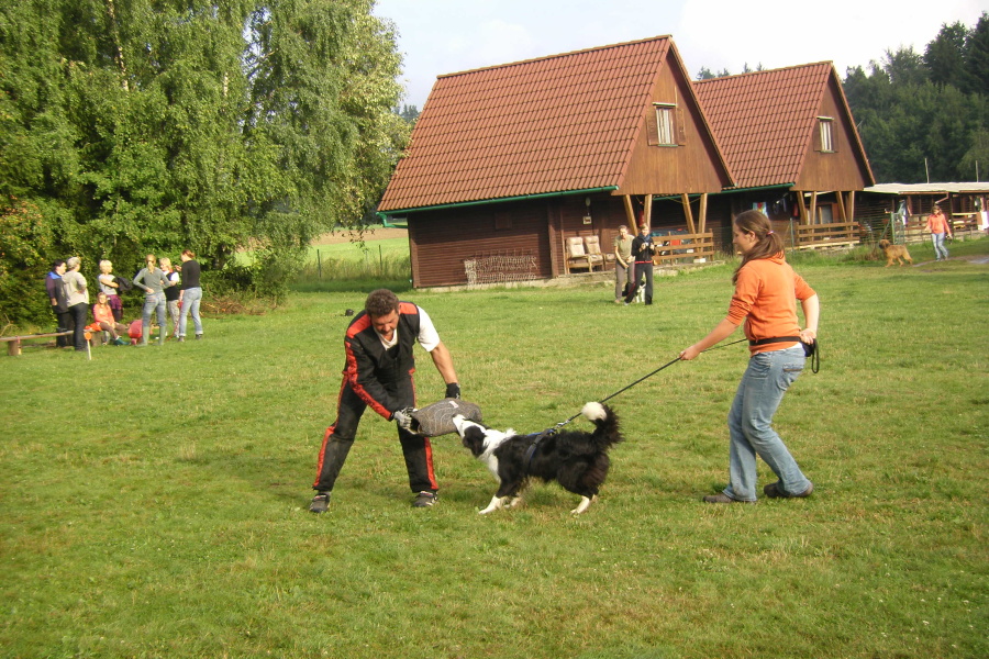 VĚTŘKOVICE 2011 646