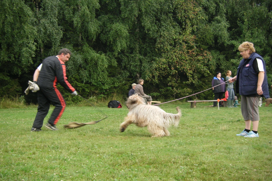 VĚTŘKOVICE 2011 652