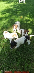 img_20230812_092200.jpg