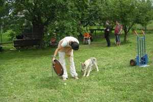 sobota-16.7.2011-adaptace-obrana-093.jpg