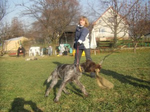 aktul-foto-mobill-12-11-11-088.jpg
