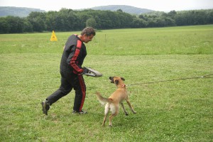 sobota-16.7.2011-adaptace-obrana-148.jpg