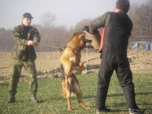 aktul-foto-mobill-12-11-11-099.jpg