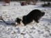 sobota 28.1.2012 27.1.-obrany 192